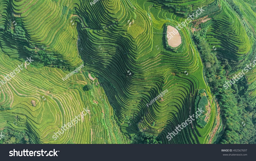 Ruộng bậc thang Tây Bắc MRBT-034